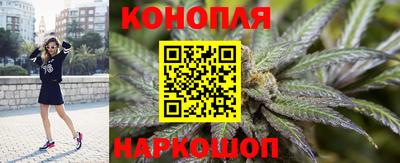 каннабис Ачхой-Мартан