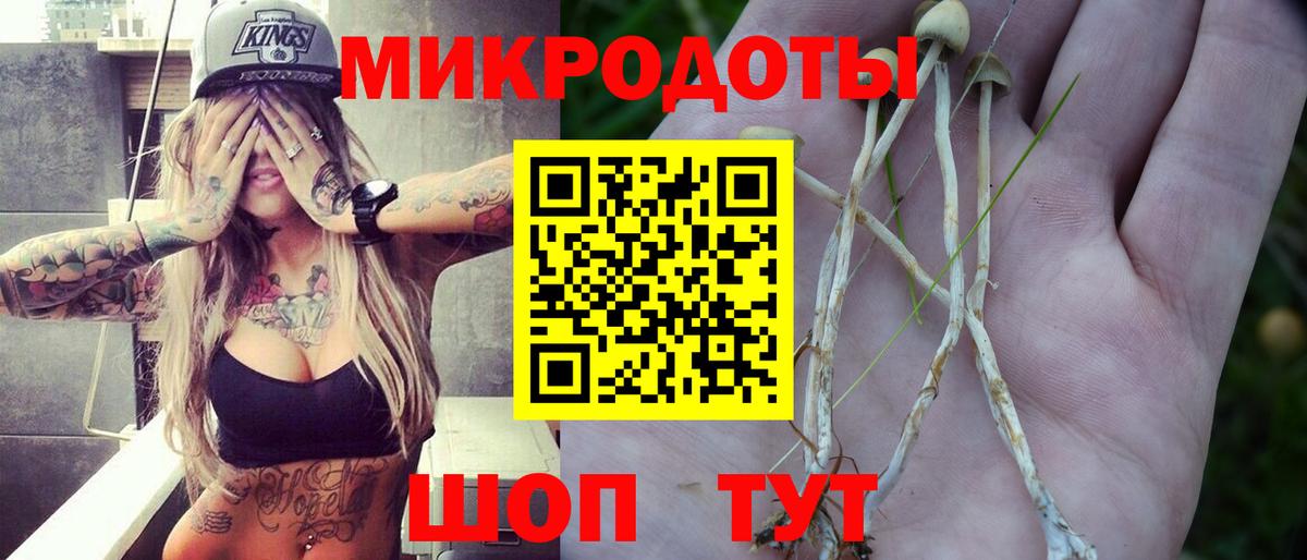 Тимашёвск  Псилоцибиновые грибы Psilocybine cubensis  Вход с VPN 